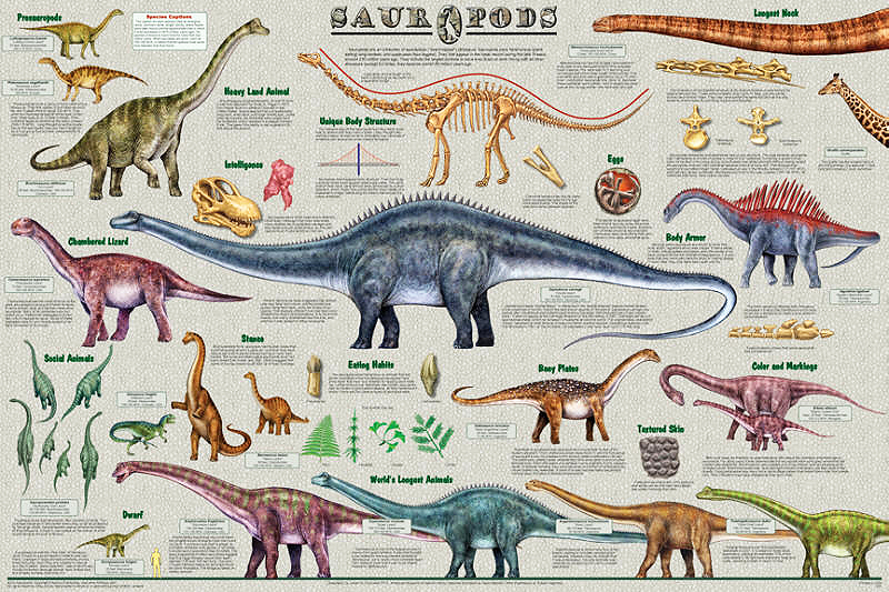 biggest dinosaurs list